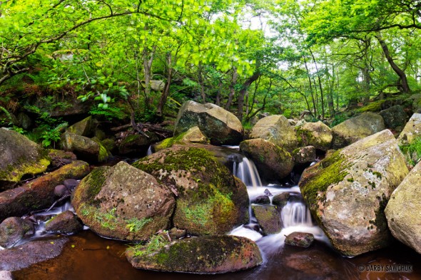 Padley Gorge