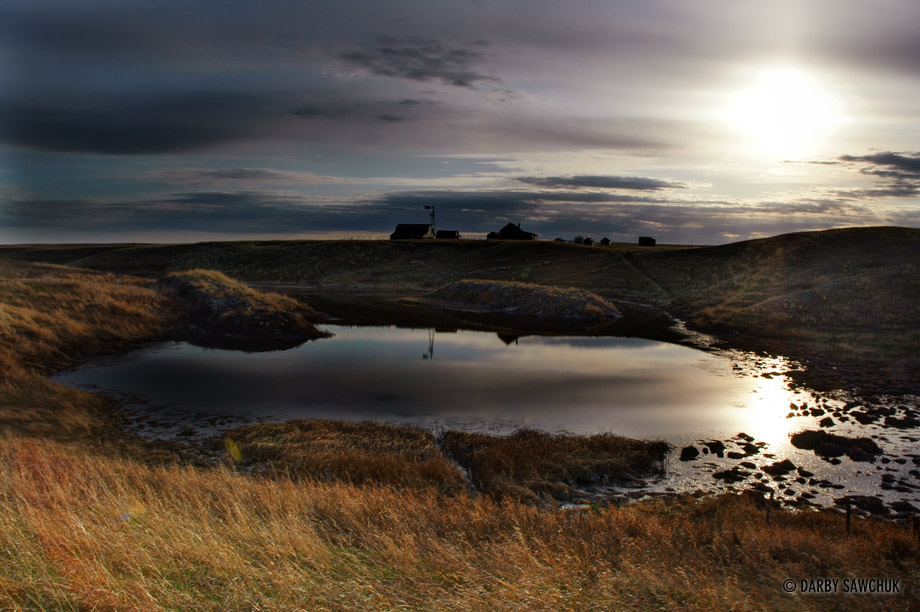 The evening sun reflcts off a pond in rural Southern Alberta.