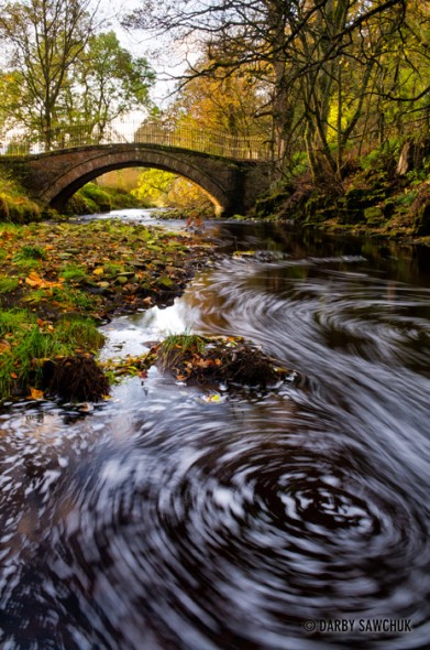 Bridge over Brook