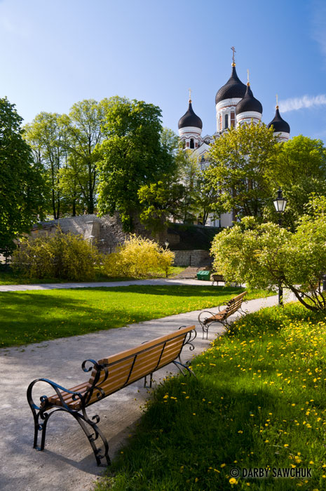 Benches in a park near the Nevsky Cathedral in Tallinn, Estonia.