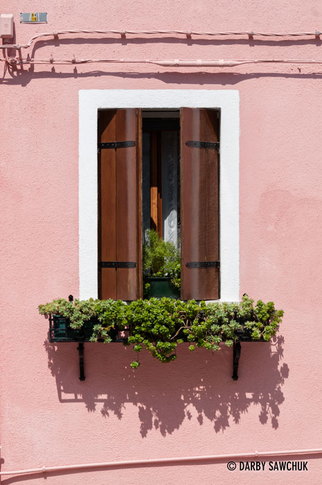 The window of a  pink house in Burano, Italy.