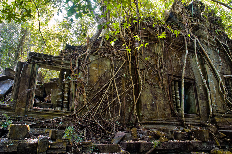 Vines cover the ruined, unrestored Hindu temple of Beng Mealea in Cambodia.