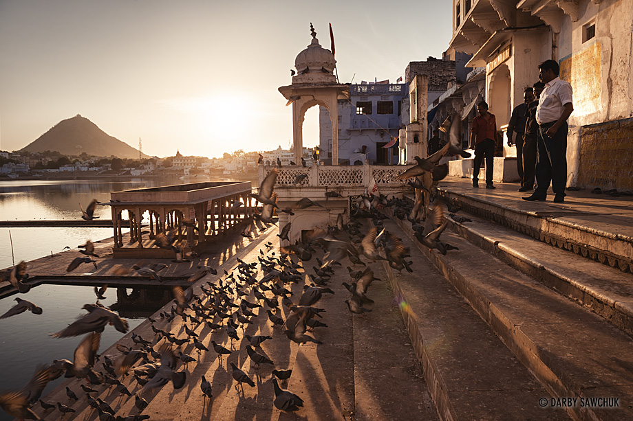 Pigeons crowd the steps of Varah Ghat on the edge of Pushkar Lake in the town of Pushkar, near Ajmer.