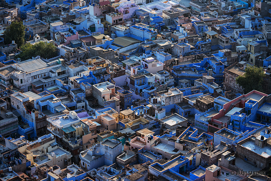 The densely-packed, blue-tinted buildings of Jodhpur, Rajasthan.