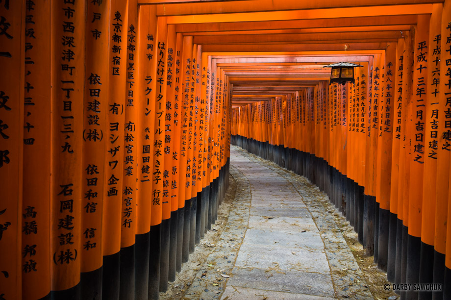 Thousands of red torii gates line the paths at Fushimi Inari Shrine in Kyoto, Japan.