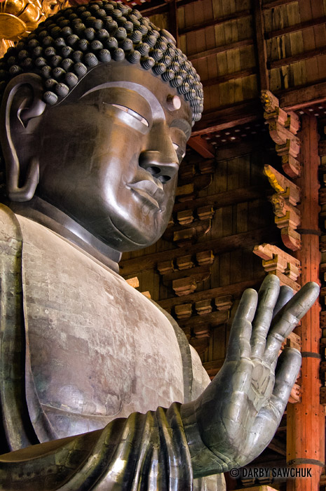 Japan's largest Buddha statue sits peacefully inside Todaiji temple in Nara, Japan.