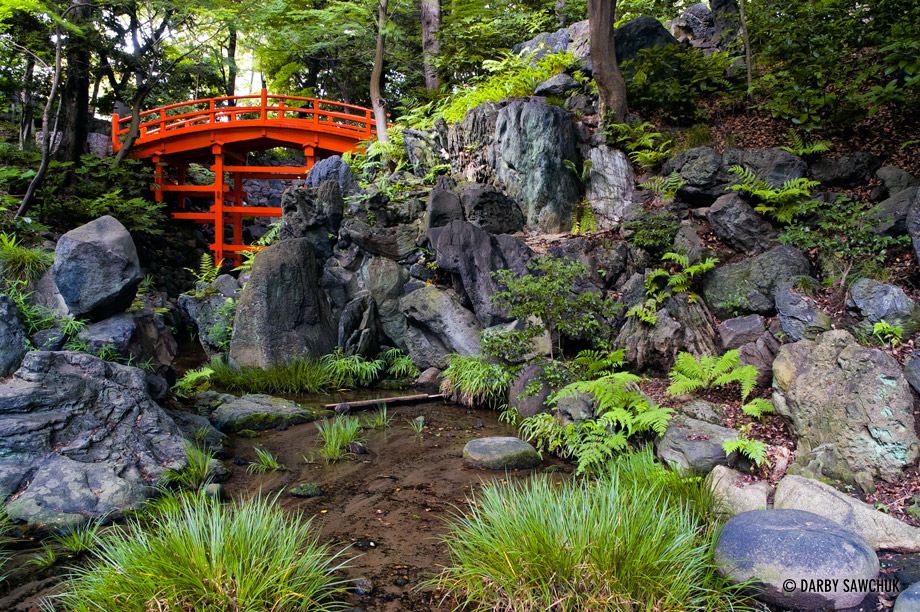 A traditional bridge in Koishikawa Korakuen, a garden in central Tokyo.