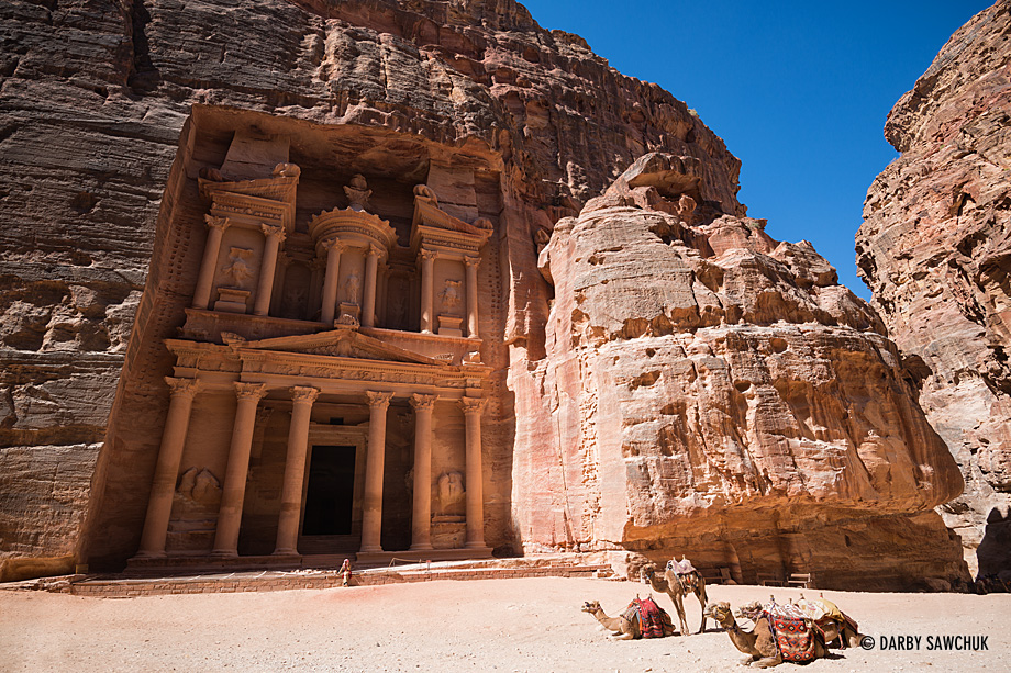 Camels rest in the sheltered canyon in front of the Treasury in Petra, Jordan.