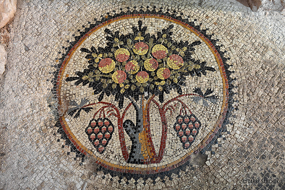 The tree of life, one of the many famous mosaics in Madaba, Jordan.