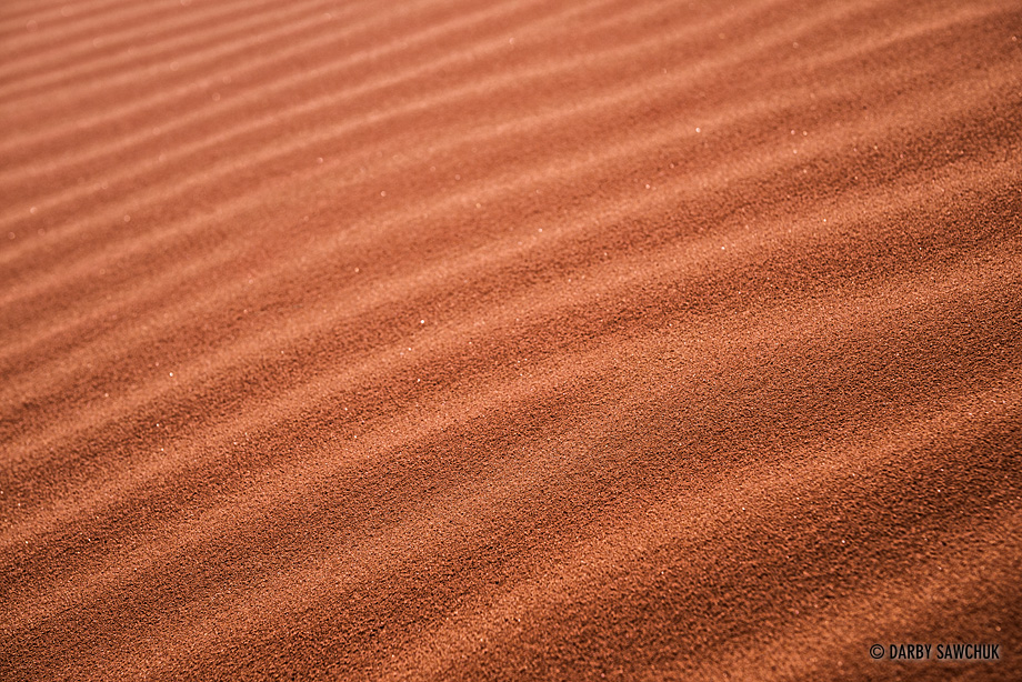 Ripples in the sand of Umm Ishrin, a red sand dune in Wadi Rum, Jordan.