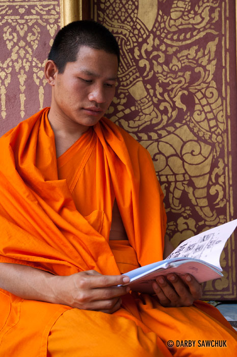 A novice monk studies a book in Luang Prabang, Laos.