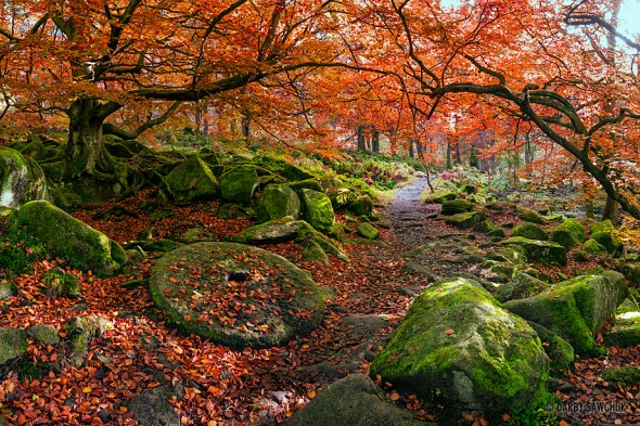 An abandoned millstone in the forest near Padley Gorge in Longshaw Estate, Derbyshire.