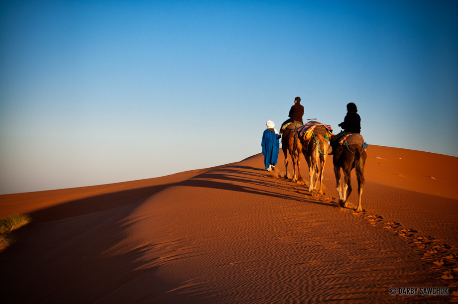 Trekkers ride camels on the sand dunes of Erb Chebbi.