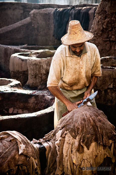 A worker at the Fez tanneries prepares hides for softening and dyeing.
