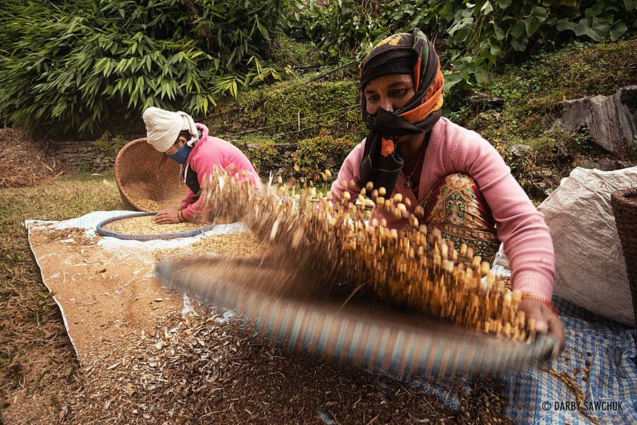 Nepalese women  sift the chaff from their grains in the mountain village of Tikhedhunga.