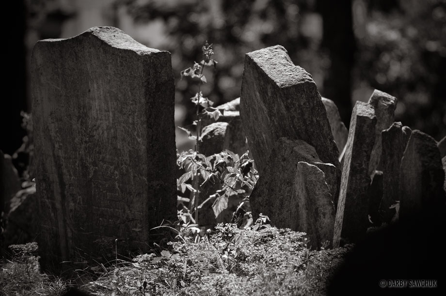 Gravestones in the Old Jewish Cemetery in Prague, Czech Republic.