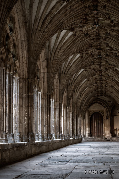 The elaborately-ribbed vaults of Caterbury Cathedral's cloister.