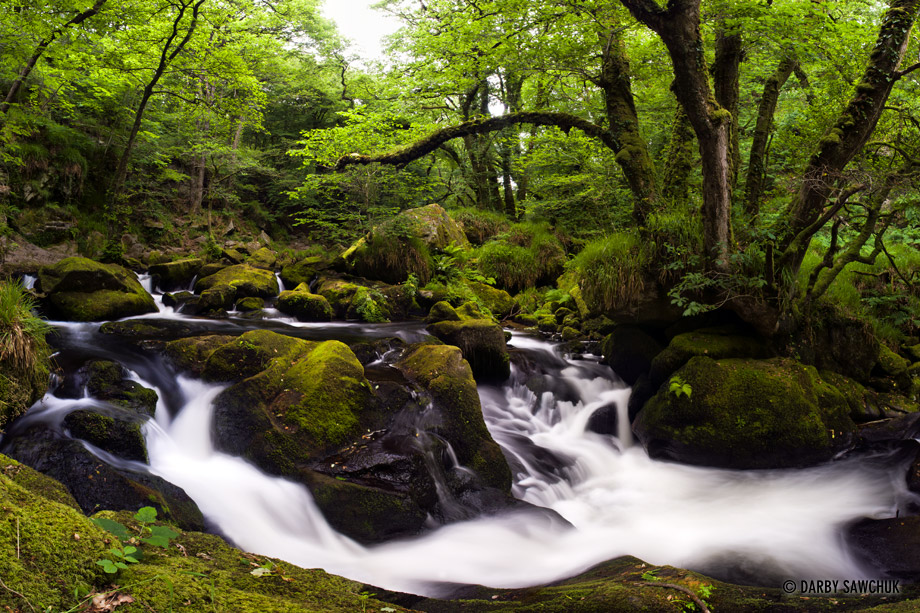 Golitha Falls on the edge of Bodmin Moor in Cornwall, England.