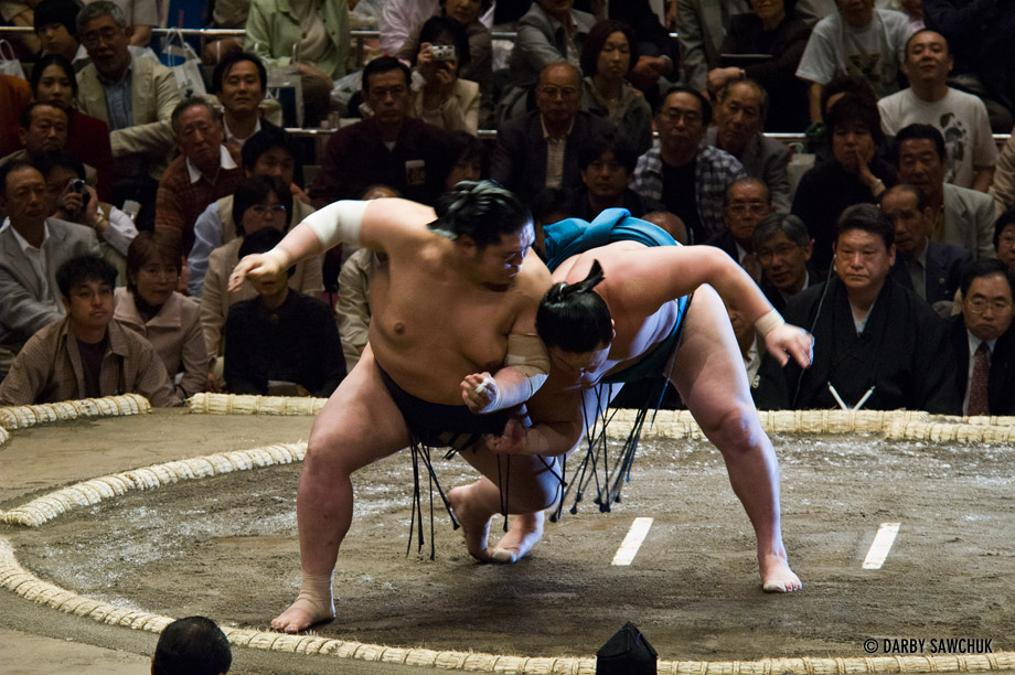 sumo fight