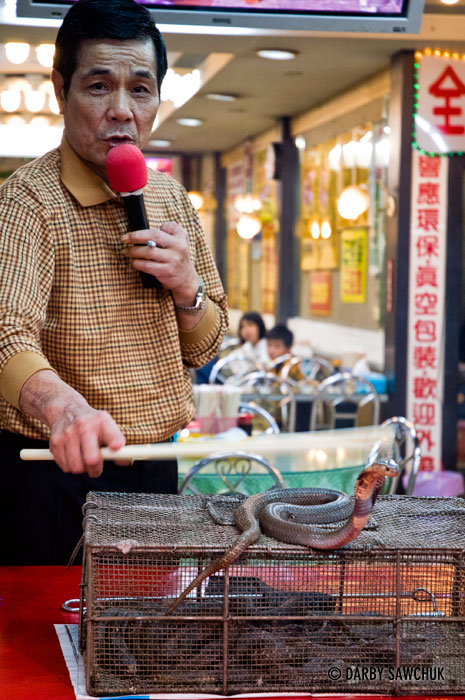 A snake handler with a cobra at the Snake Alley Night Market in Taipei, Taiwan.
