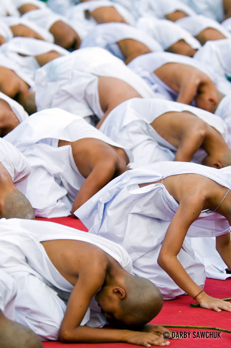 Young boys wear white robes and kneel during their ordination to become novice Buddhist monks at Wat Chedi Luang in Chiang Mai, Thailand.