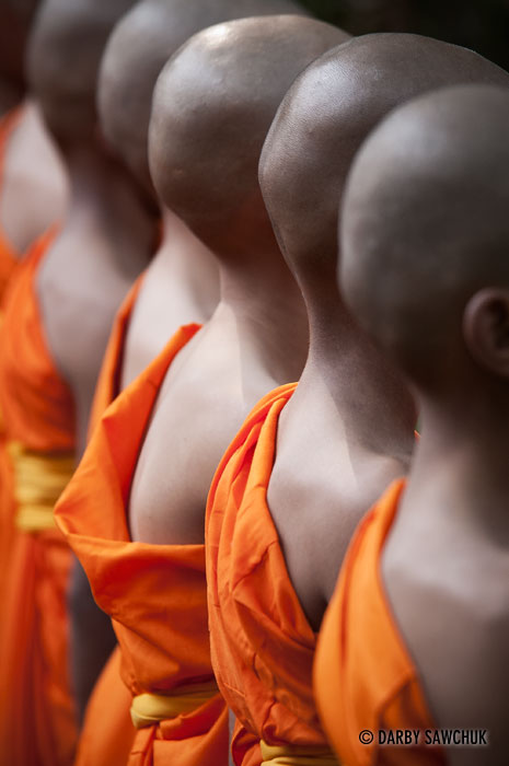 The shaved heads of newly-ordinated Buddhist monks in Chiang Mai Thailand.