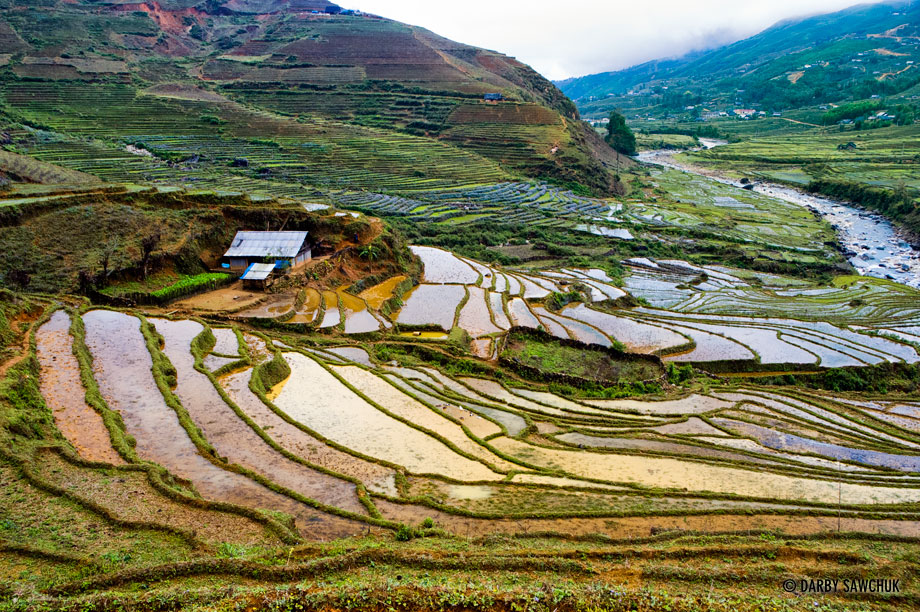 The terraced rice fields of the hills of Sa Pa, Vietnam.