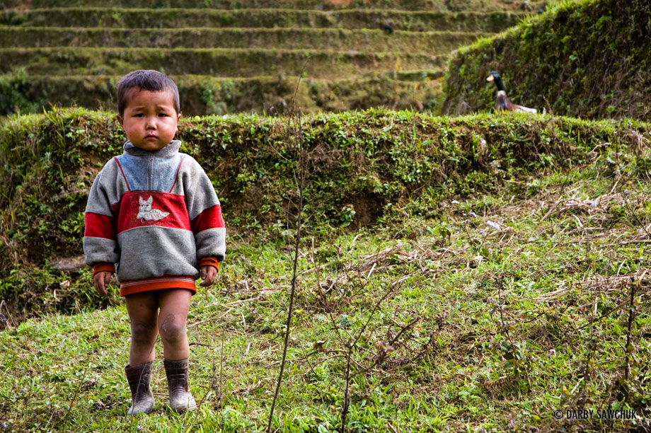 A child stands in the rice-terraced hills of Sa Pa in Northern Vietnam.