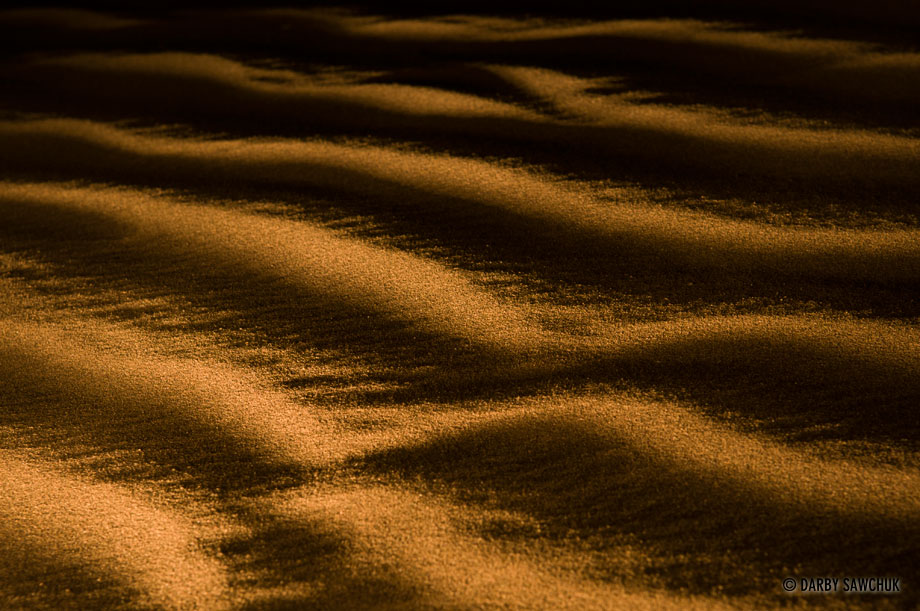 Saharan desert sand near Zagora, Morocco.