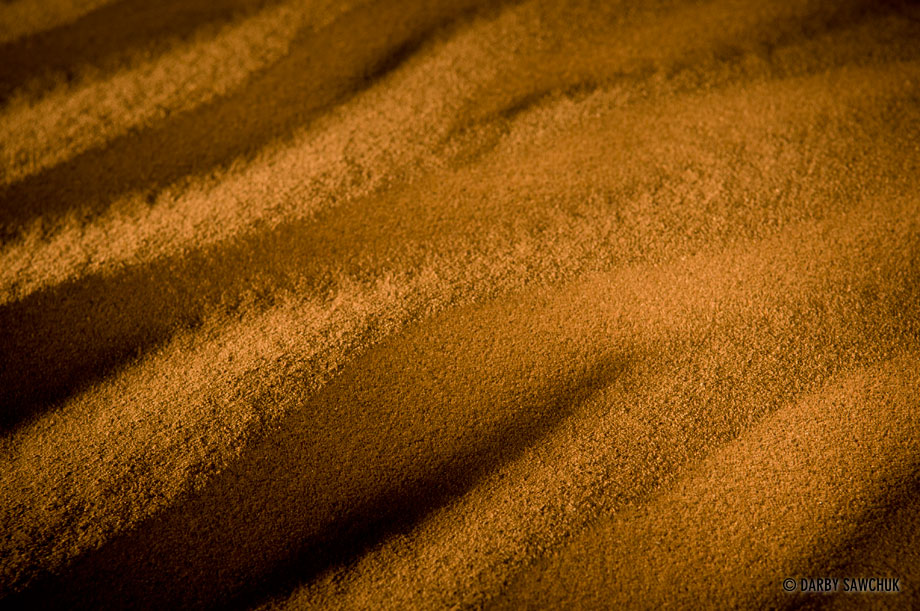 Saharan desert sand near Zagora, Morocco.