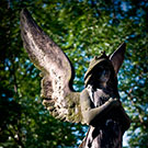 Photo of the Day: Vysehrad Angel